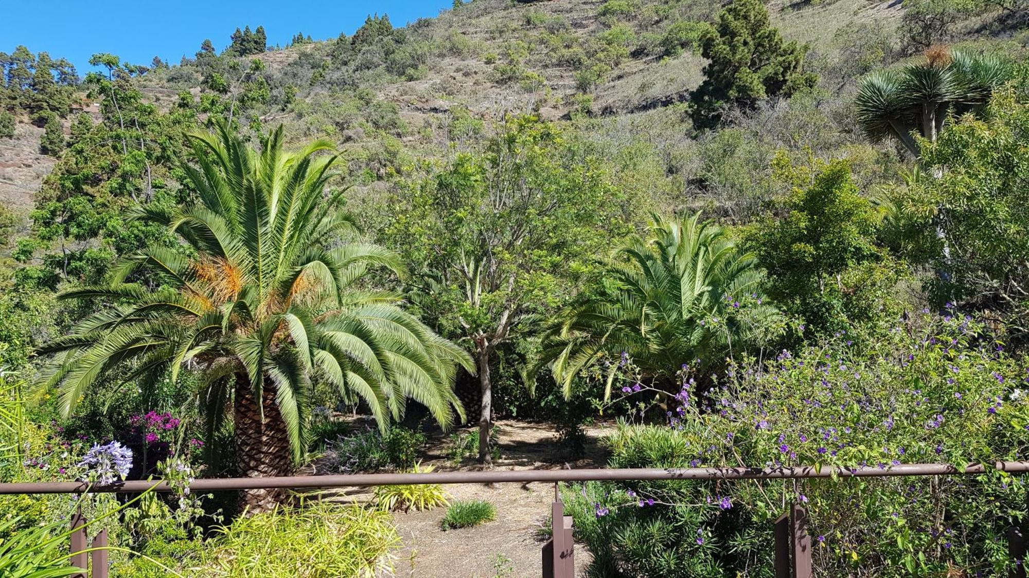 Almendro Villa Puntagorda  Exterior photo